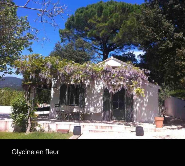 Bastidon Farfallina Puyvert Exterior photo